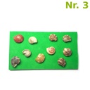 ADE101_altpic_3.jpg