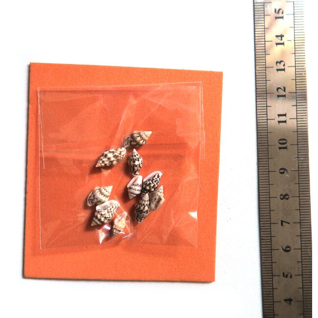 ADE102_altpic_2.jpg