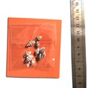 ADE102_altpic_2.jpg