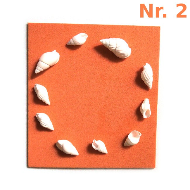 ADE102_altpic_3.jpg