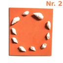 ADE102_altpic_3.jpg