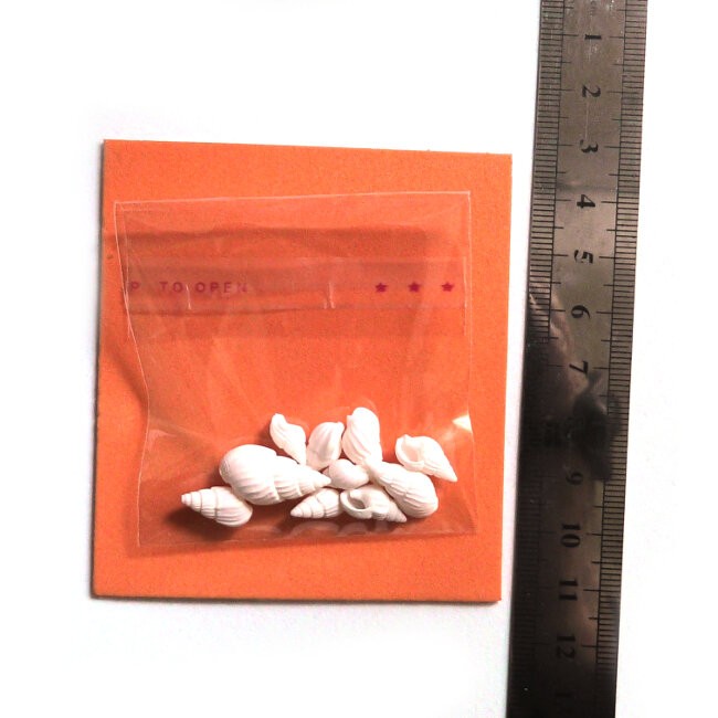 ADE102_altpic_4.jpg