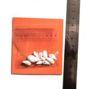ADE102_altpic_4.jpg