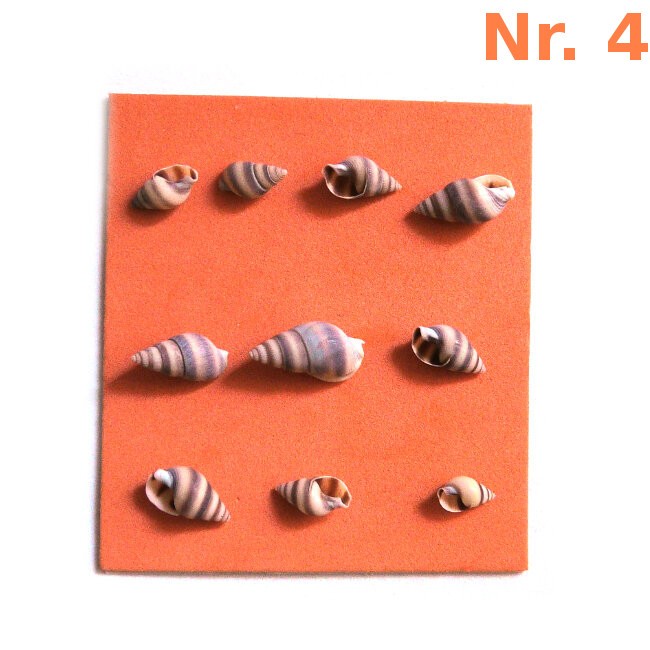 ADE102_altpic_7.jpg