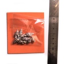 ADE102_altpic_8.jpg