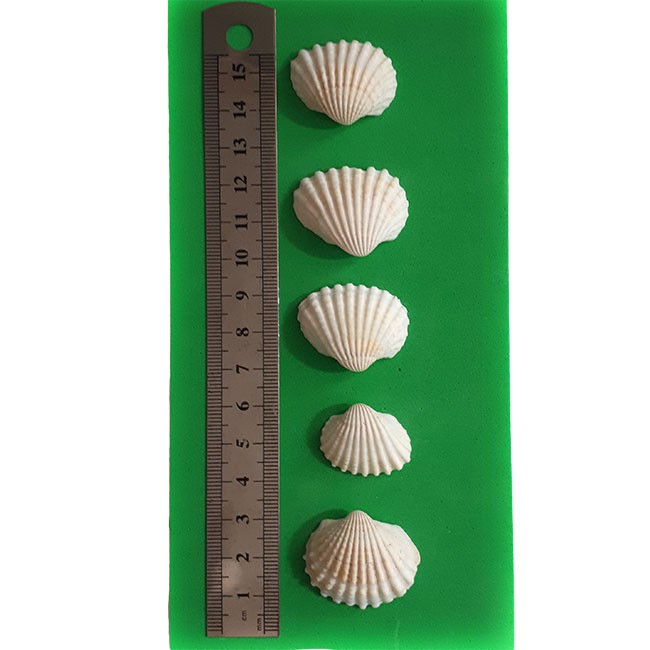 ADE103_altpic_1.jpg