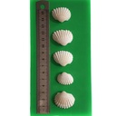 ADE103_altpic_1.jpg