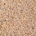 ASE404_altpic_2.jpg