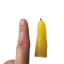 CSGY02_altpic_2.jpg