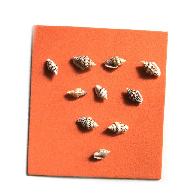 [ADE102] Casas de caracol para decoración