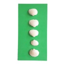 Weiße Muscheln zur Dekoration