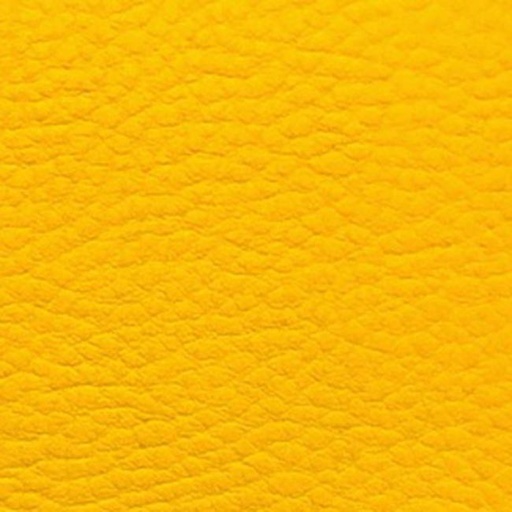 [ADE008] Decoration Sheet for Epoxy Jewellery, Yellow Lether