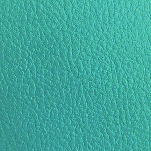 [ADE010] Decoration Sheet for Epoxy Jewellery, Green Lether