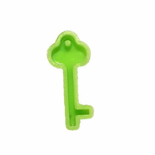 [FSZE008] Key Medallion Silicone Mould